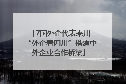 7国外企代表来川 “外企看四川”搭建中外企业合作桥梁
