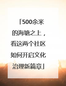500余米的海塘之上，看这两个社区如何开启文化治理新篇章