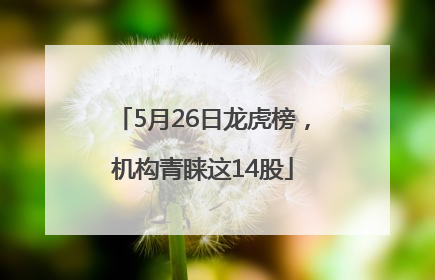 5月26日龙虎榜，机构青睐这14股