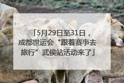 5月29日至31日，成都世运会“跟着赛事去旅行”武侯站活动来了
