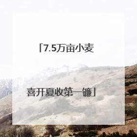 7.5万亩小麦喜开夏收第一镰