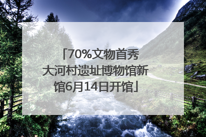 70%文物首秀 大河村遗址博物馆新馆6月14日开馆