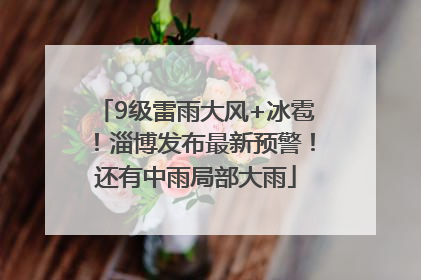 9级雷雨大风+冰雹！淄博发布最新预警！还有中雨局部大雨