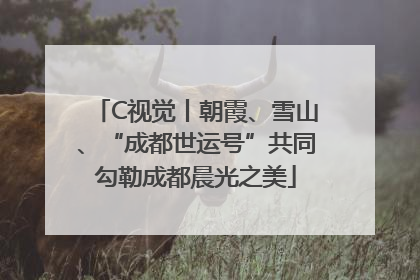 C视觉丨朝霞、雪山、“成都世运号”共同勾勒成都晨光之美
