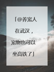 @养宠人 在武汉，宠物也可以坐高铁了