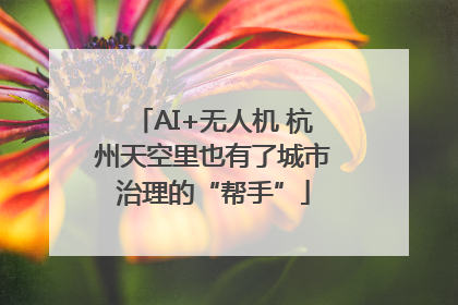 AI+无人机 杭州天空里也有了城市治理的“帮手”