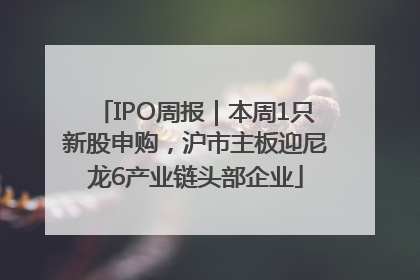 IPO周报｜本周1只新股申购，沪市主板迎尼龙6产业链头部企业
